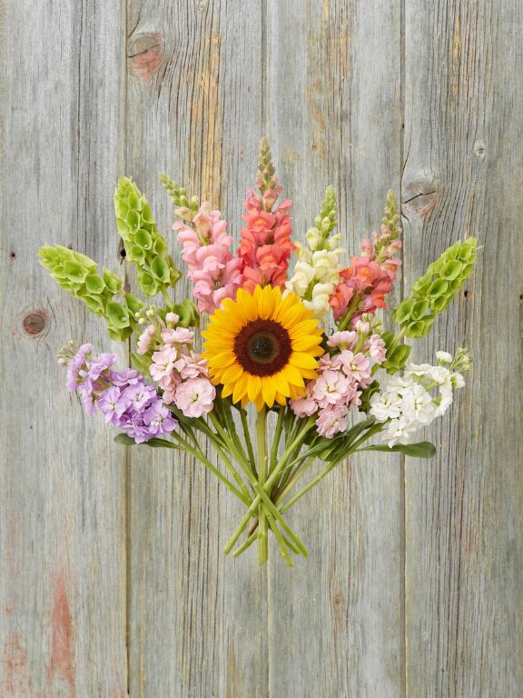 ECUADOR GROWN ASSORTED FLOWERS COMBO BOX GB1